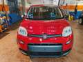 Fiat Panda 1.0 Hybrid 70cv Radio Bluetooth 36 Rate da 177,95 Rosso - thumbnail 2