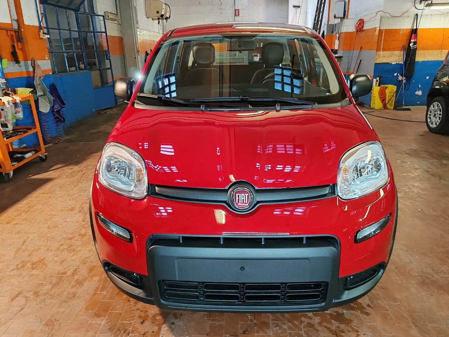 Fiat Panda 1.0 Hybrid 70cv Radio Bluetooth 36 Rate da 177,95 Rojo - 2
