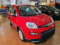 Fiat Panda 1.0 Hybrid 70cv Radio Bluetooth 36 Rate da 177,95 Rojo - thumbnail 3