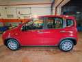 Fiat Panda 1.0 Hybrid 70cv Radio Bluetooth 36 Rate da 177,95 Rosso - thumbnail 8
