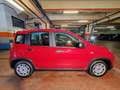 Fiat Panda 1.0 Hybrid 70cv Radio Bluetooth 36 Rate da 177,95 Rojo - thumbnail 4