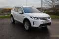 Land Rover Discovery Sport D240 4WD Weiß - thumbnail 6