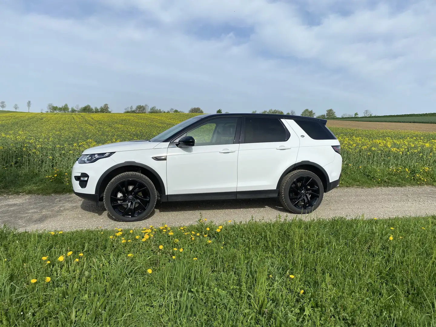 Land Rover Discovery Sport 2,0 SD4 4WD HSE Luxury Aut. Weiß - 1
