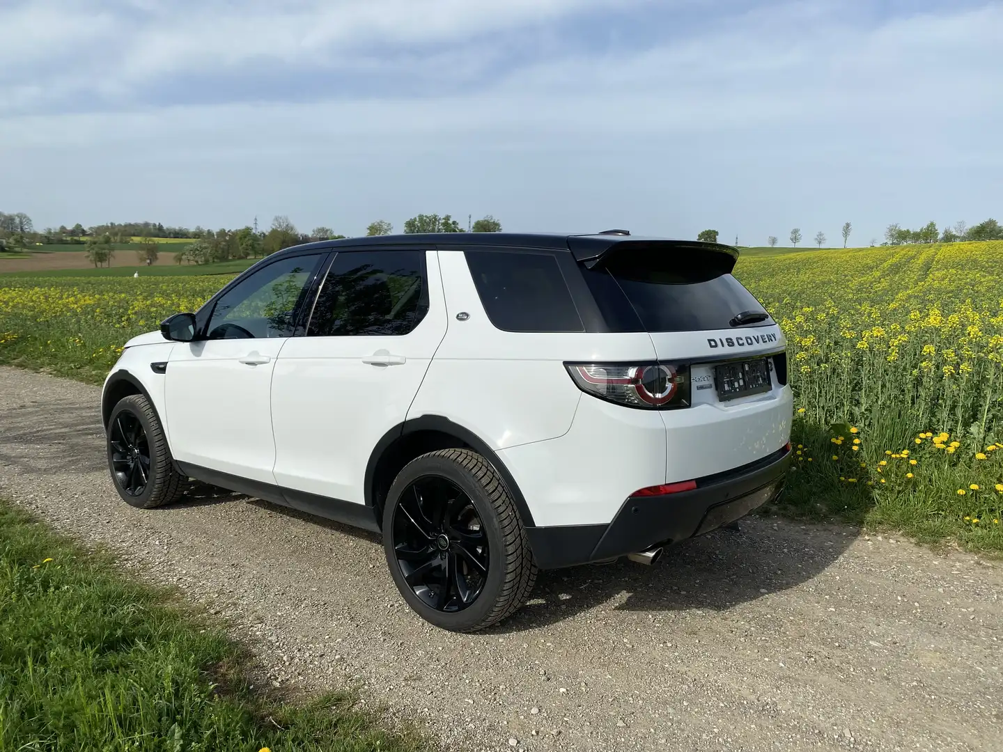 Land Rover Discovery Sport 2,0 SD4 4WD HSE Luxury Aut. Weiß - 2