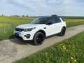 Land Rover Discovery Sport 2,0 SD4 4WD HSE Luxury Aut. Weiß - thumbnail 8