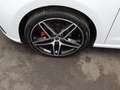 SEAT Ibiza FR-Line 1.5 TSI DSG / Pano, ACC, LED,Beats Blanc - thumbnail 16