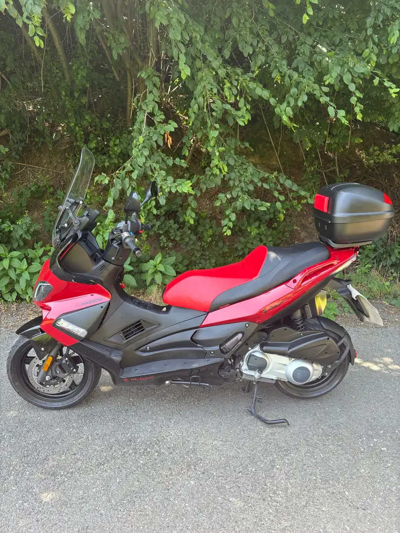 Malaguti Madison 300 Rosso - 2