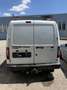 Ford Sonstige Connect Export - thumbnail 2