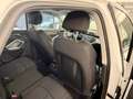 Audi Q3 Q3 35 TDI S tronic Business plus Blanc - thumbnail 19