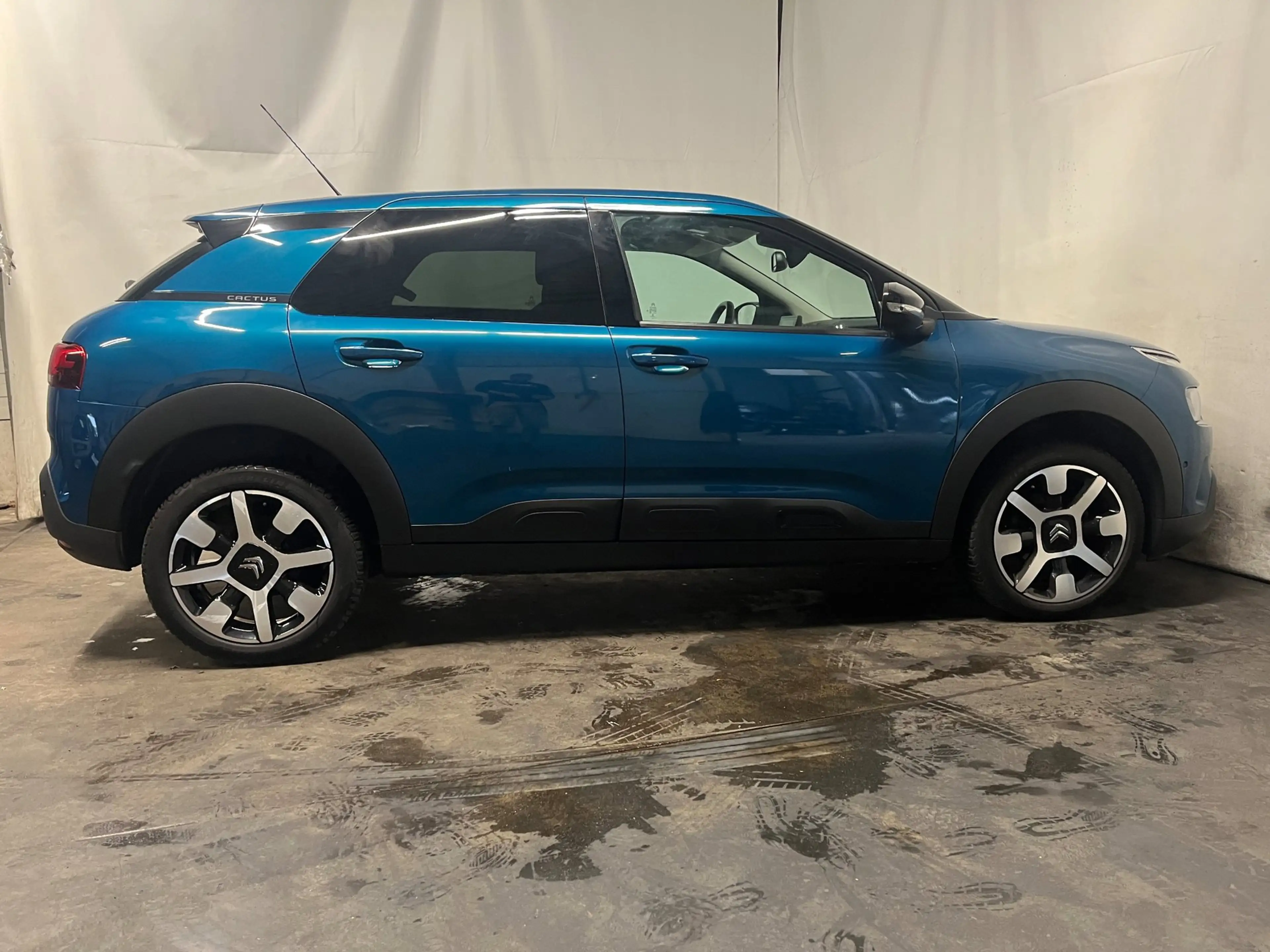 Citroen C4 Cactus 1.2 PureTech Shine - Schade - BPM — photo 4