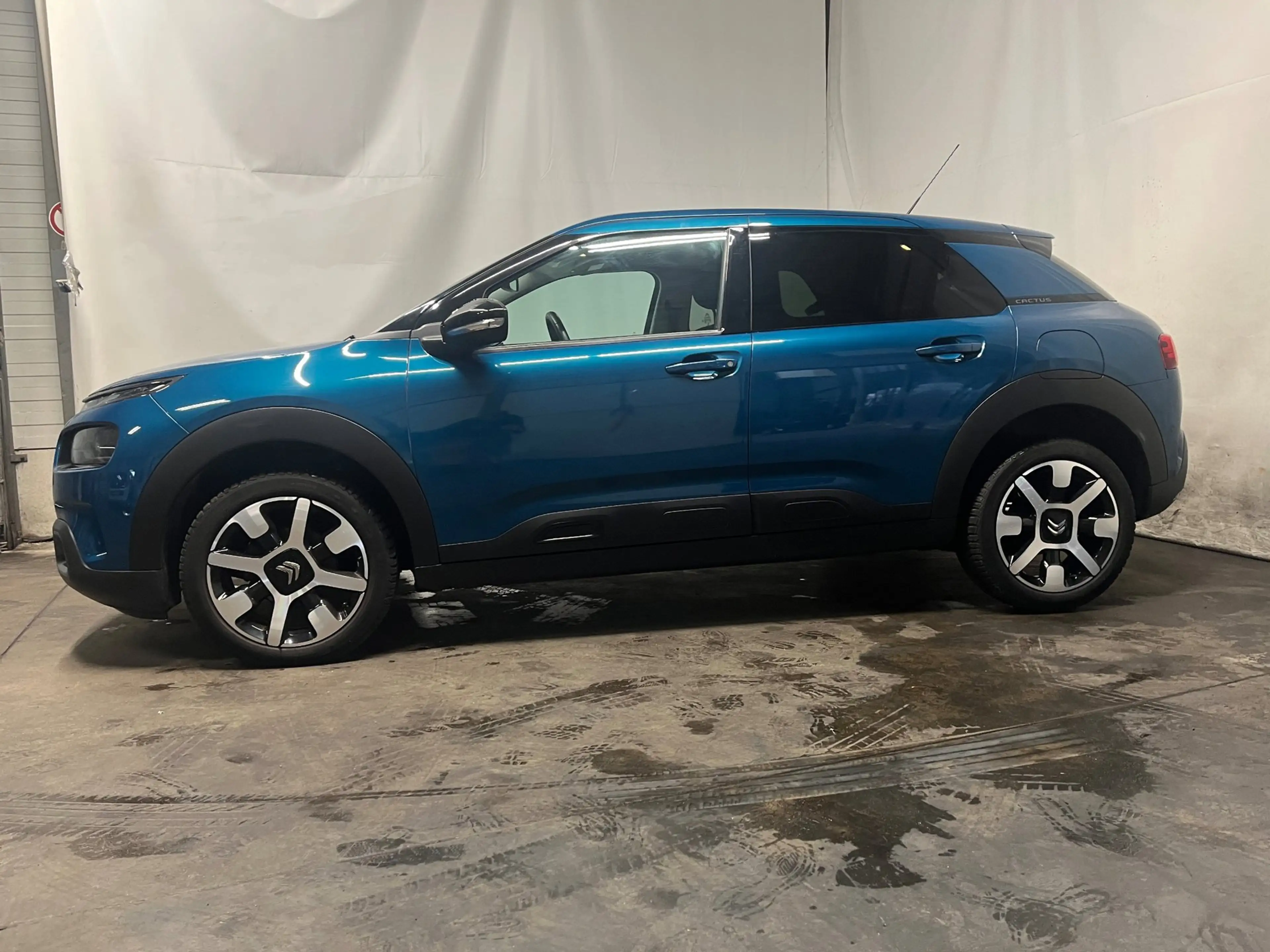 Citroen C4 Cactus 1.2 PureTech Shine - Schade - BPM — photo 3