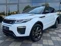 Land Rover Range Rover Evoque 2,0 TD4 SE DYNAMIC LEDER,PANO Weiß - thumbnail 1