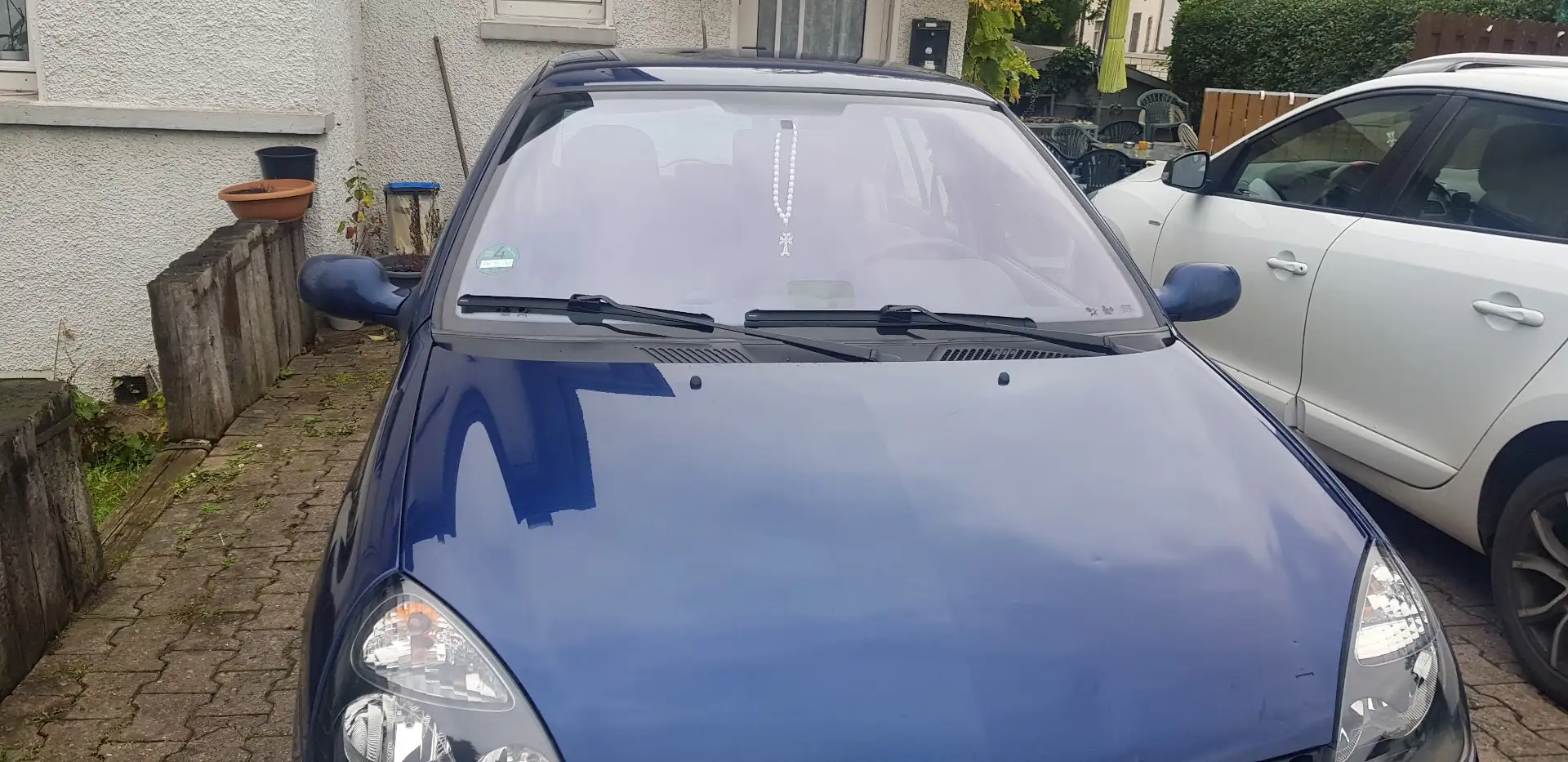 Reliant Ant Renault Clio - 2