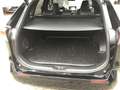 Toyota RAV 4 RAV4 2.5 Hybrid Black Edition +360Kamera+Navi+JBL Schwarz - thumbnail 17