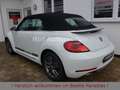 Volkswagen Beetle 1.2TSI DSG Sound Xenon Navi AppCon. SHZ Blanc - thumbnail 4