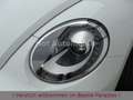 Volkswagen Beetle 1.2TSI DSG Sound Xenon Navi AppCon. SHZ Blanc - thumbnail 18