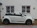 Volkswagen Beetle 1.2TSI DSG Sound Xenon Navi AppCon. SHZ Blanc - thumbnail 3