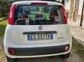 Fiat Panda Panda III 2012 0.9 t.air turbo natural power 80cv Blanc - thumbnail 9