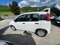 Fiat Panda 1.0 FireFly S&S Hybrid Blanc - thumbnail 19