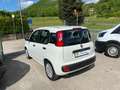 Fiat Panda 1.0 FireFly S&S Hybrid Blanc - thumbnail 18
