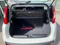 Fiat Panda 1.0 FireFly S&S Hybrid Blanc - thumbnail 8