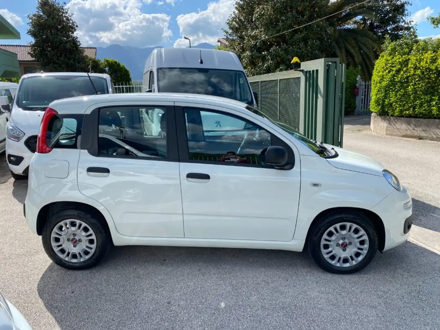 Fiat Panda 1.0 FireFly S&S Hybrid Blanc - 2