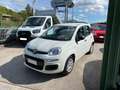 Fiat Panda 1.0 FireFly S&S Hybrid Blanc - thumbnail 16