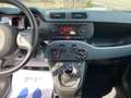 Fiat Panda 1.0 FireFly S&S Hybrid Blanc - thumbnail 24