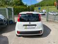 Fiat Panda 1.0 FireFly S&S Hybrid Blanc - thumbnail 17