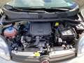 Fiat Panda 1.0 FireFly S&S Hybrid Blanc - thumbnail 15