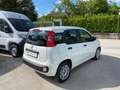 Fiat Panda 1.0 FireFly S&S Hybrid Blanc - thumbnail 4