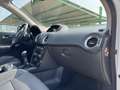 Renault Koleos Todoterreno Manual de 5 Puertas Blanco - thumbnail 16
