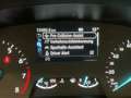 Ford Fiesta ST-Line+LED+Keyless GO+Rückfahrkamera Schwarz - thumbnail 13
