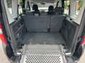 Fiat Doblo Doblo II 2010 1.6 mjt 16v Pedana Accesso Disabili Nero - thumbnail 14