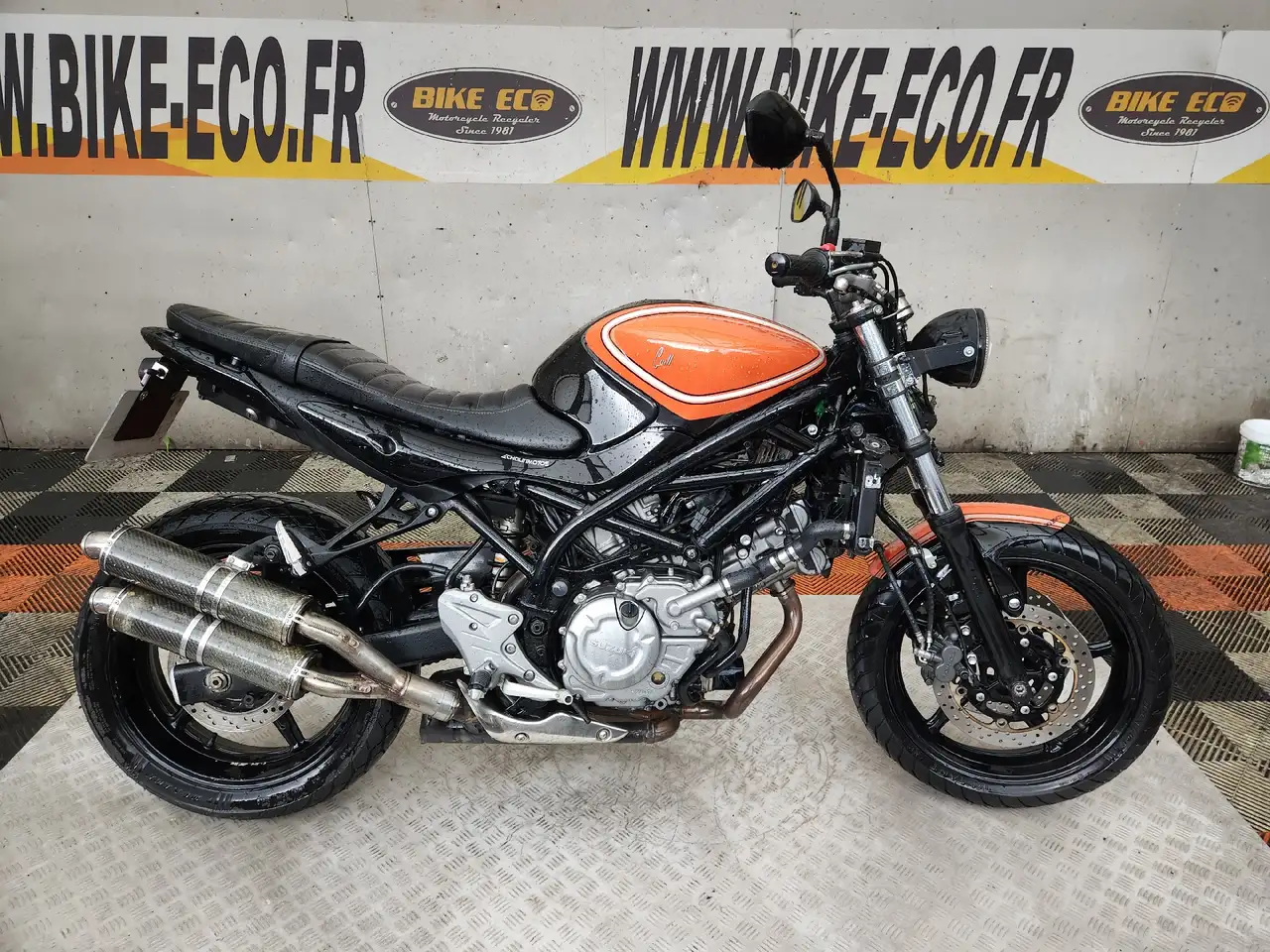 Suzuki Gladius 650