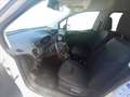 Ford Tourneo Courier 1.0 EcoBoost 100 CV Sport Blanc - thumbnail 9