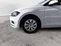 Volkswagen Polo 1.0 TGI 5p. Trendline BlueMotion Technology Bianco - thumbnail 9