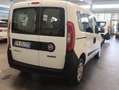 Fiat Doblo .3 MJT 95 CV -AUTOCARRO N.1 - UNICO-PRO - SED RISC Wit - thumbnail 5