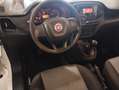 Fiat Doblo .3 MJT 95 CV -AUTOCARRO N.1 - UNICO-PRO - SED RISC Wit - thumbnail 6