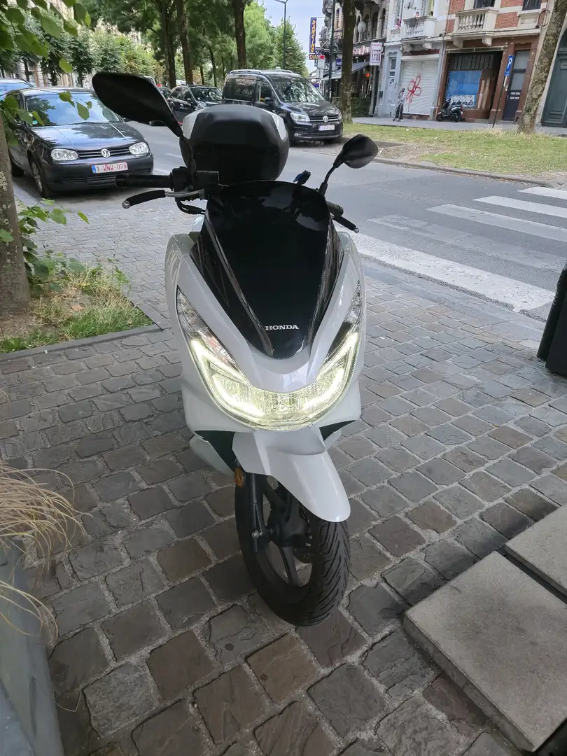 Honda PCX 125 Bianco - 1