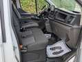 Ford Transit Custom FT 320 L1 Van Trend 170 Blanco - thumbnail 5