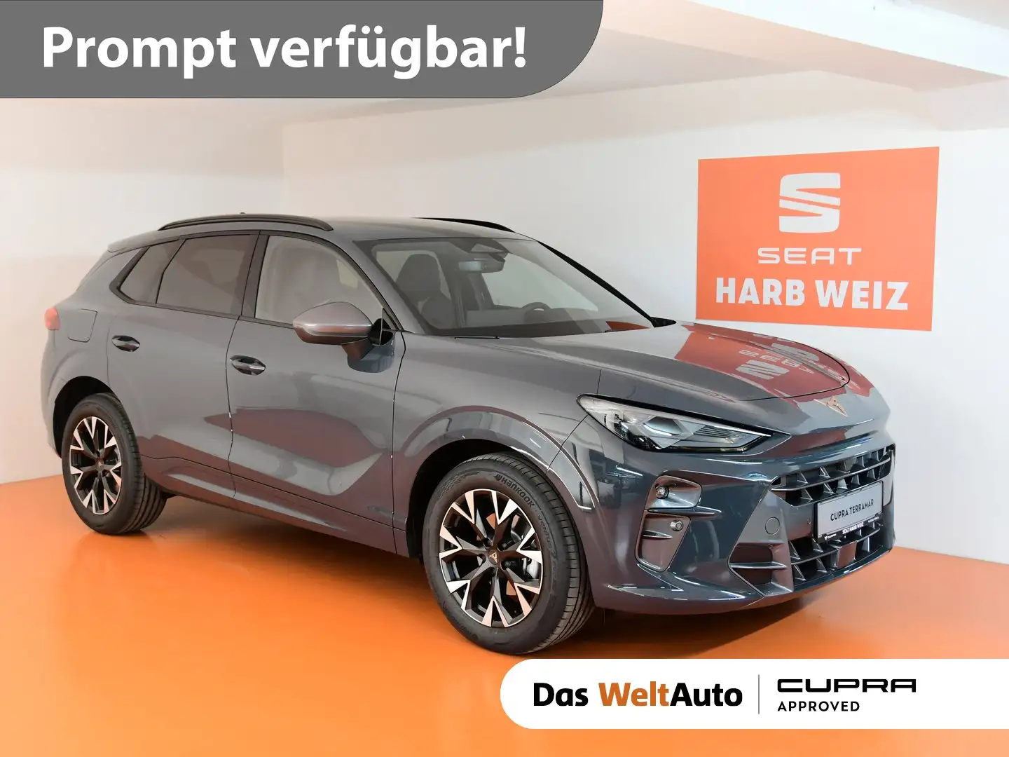 CUPRA Terramar 1.5 e-TSI 150 PS DSG Blau - 1