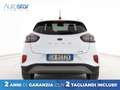 Ford Puma 1.0 ecoboost h Titanium s&s 125cv Bianco - thumbnail 4