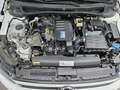 Volkswagen Polo 1,0 Austria 80PS Weiß - thumbnail 21