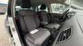 Volkswagen Polo Comfortline frisches Pickerl Weiß - thumbnail 20