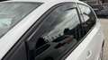 Volkswagen Polo Comfortline frisches Pickerl Weiß - thumbnail 26