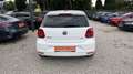 Volkswagen Polo Comfortline frisches Pickerl Weiß - thumbnail 5