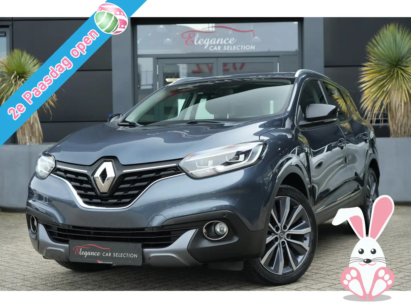 Renault Kadjar 1.2 TCe Bose 131pk Navigatie/Camera/Bose Gris - 1