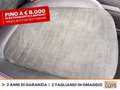 Ford Kuga 2.5 phev st-line x 2wd 225cv cvt Bianco - thumbnail 9
