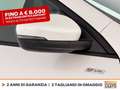 Ford Kuga 2.5 phev st-line x 2wd 225cv cvt Bianco - thumbnail 17